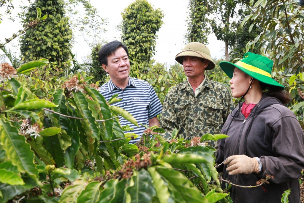 Bình Điền – tầm nhìn tiên phong xanh hóa - số hóa