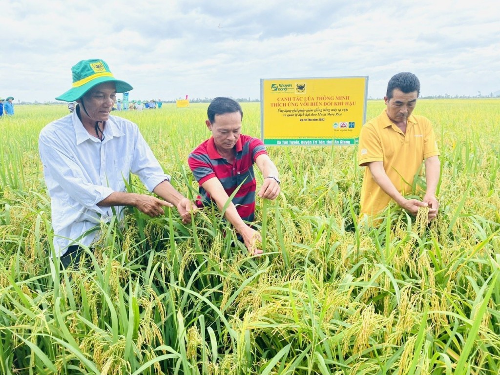 Bình Điền – tầm nhìn tiên phong xanh hóa - số hóa