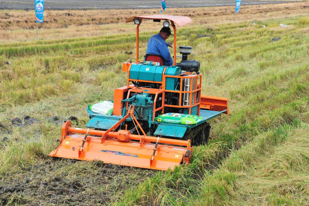 Bình Điền – tầm nhìn tiên phong xanh hóa - số hóa