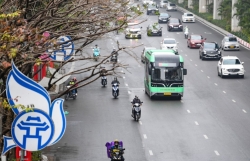 Hà Nội điều chỉnh hoạt động giao thông công cộng phục vụ A80