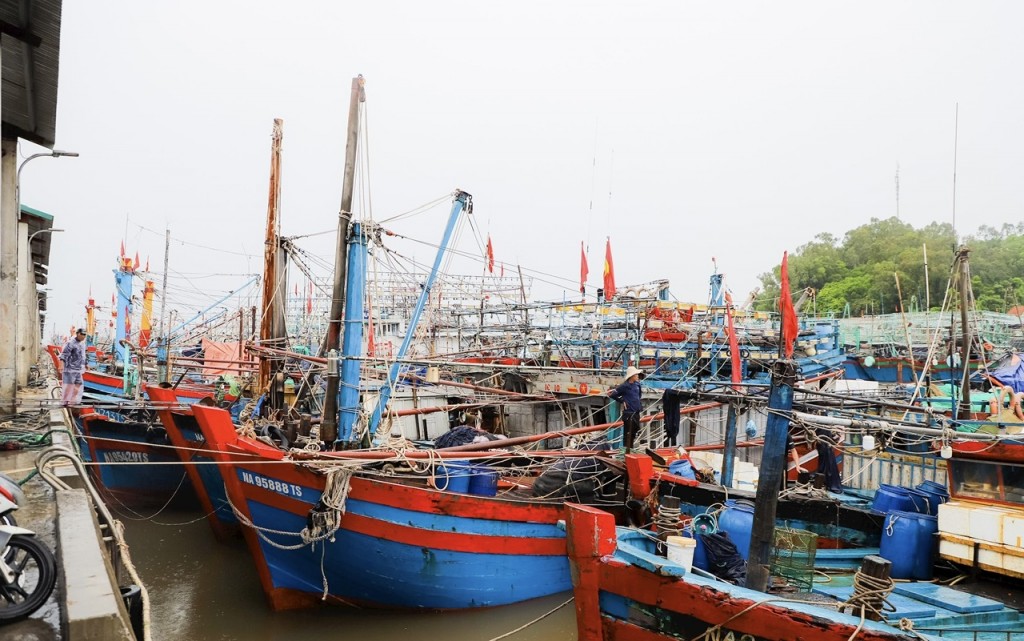 Ảnh minh họa