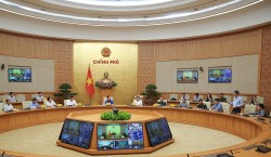 Dự báo sớm, chính xác, liên tục cập nhật kịch bản ứng phó bão số 5