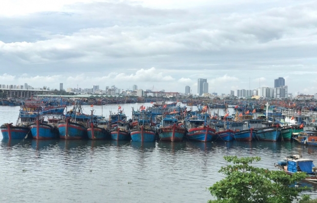 Đà Nẵng họp khẩn ứng phó với bão số 5