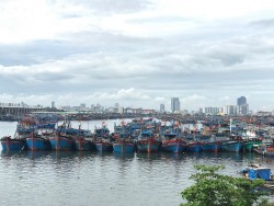 Đà Nẵng họp khẩn ứng phó với bão số 5