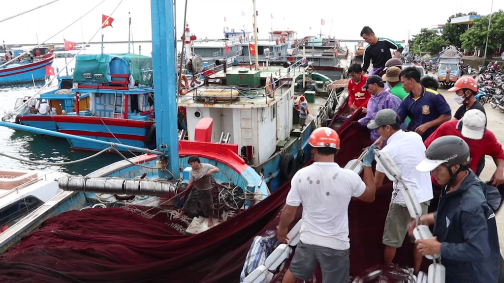 Quảng Ngãi: Khẩn trương tổ chức ứng phó với bão số 5