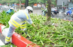Bãi cỏ, bồn hoa tơi tả sau đêm tổng hợp luyện lần 2