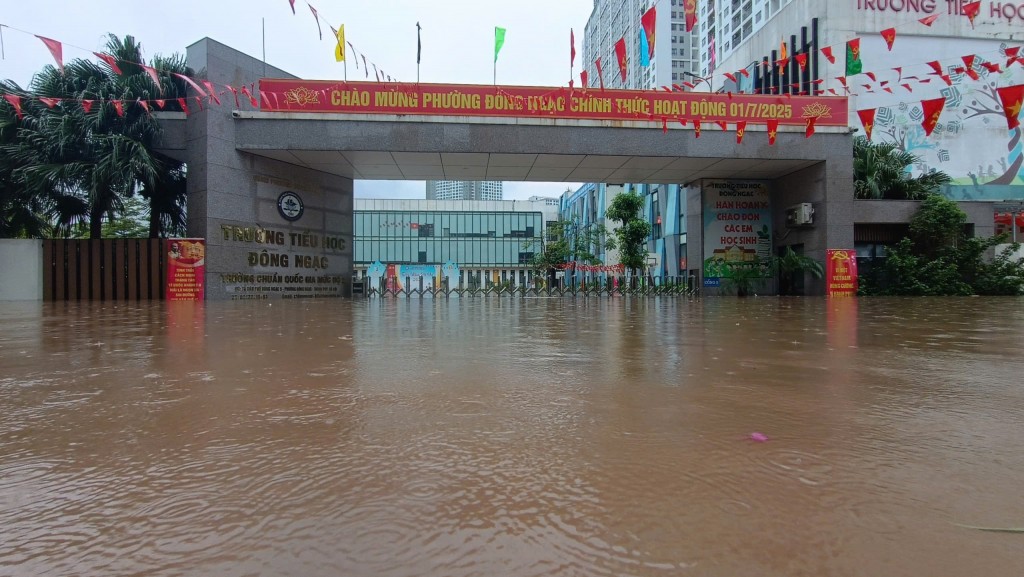 Mưa lớn khiến cây xanh bật gốc đổ đè 2 xe ô tô