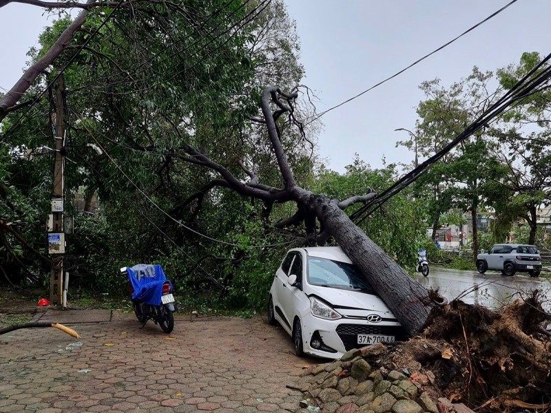 Nghệ An: Bão số 5 càn quét tan hoang đường phố