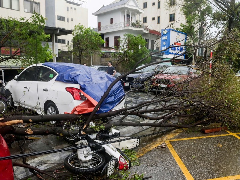Nghệ An: Bão số 5 càn quét tan hoang đường phố