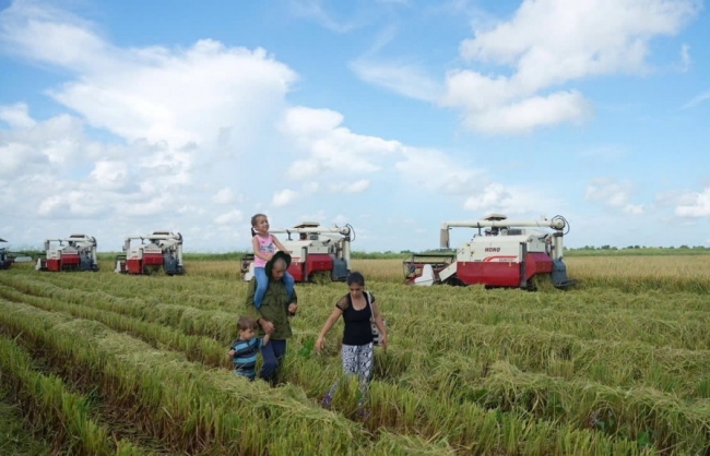 “Hạt giống hạnh phúc”: Biểu tượng hữu nghị Việt Nam - Cuba