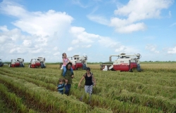 “Hạt giống hạnh phúc”: Biểu tượng hữu nghị Việt Nam - Cuba