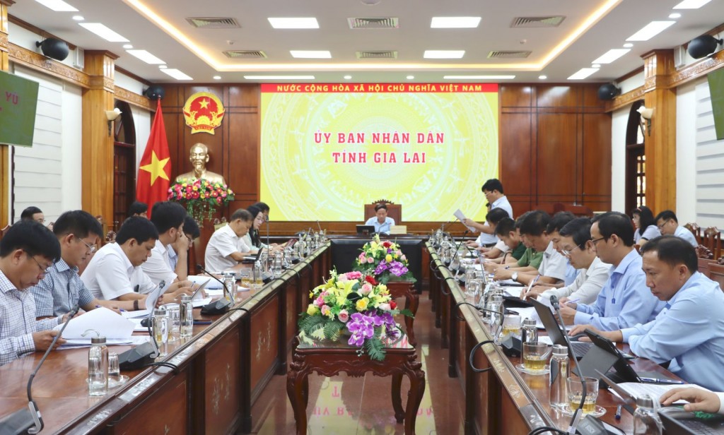 , UBND tỉnh Gia Lai đã tổ chức cuộc họp thúc đẩy các giải pháp chống khai thác hải sản bất hợp pháp