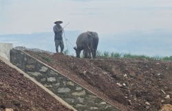 Đà Nẵng: Nhà thầu sử dụng vật liệu phong hóa thi công nền đường?