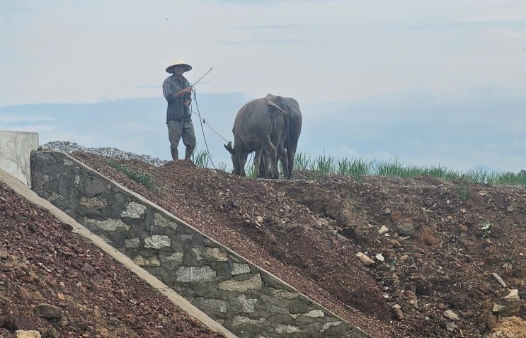 Đà Nẵng: Nhà thầu sử dụng vật liệu phong hóa thi công nền đường?