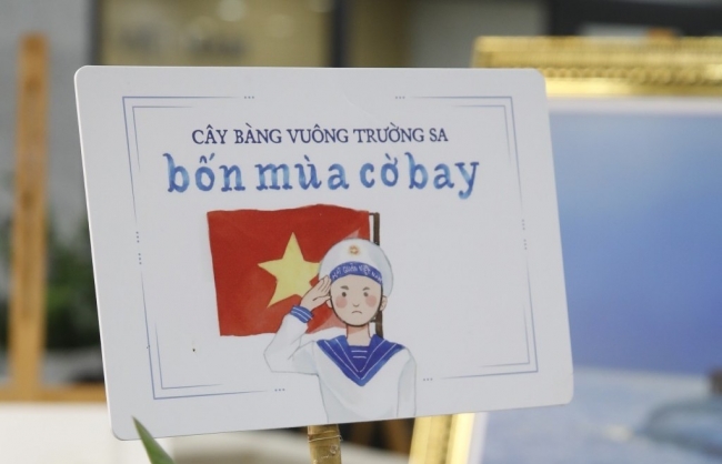 Việt Nam, Việt Nam
