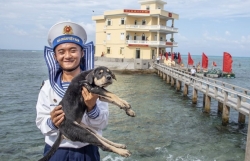 Người bạn bốn chân