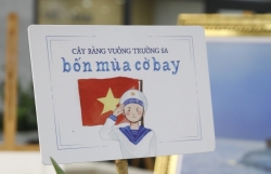 Việt Nam, Việt Nam