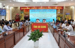 Văn phòng UBND tỉnh An Giang tiếp tục đổi mới, nâng cao chất lượng tham mưu, tổng hợp