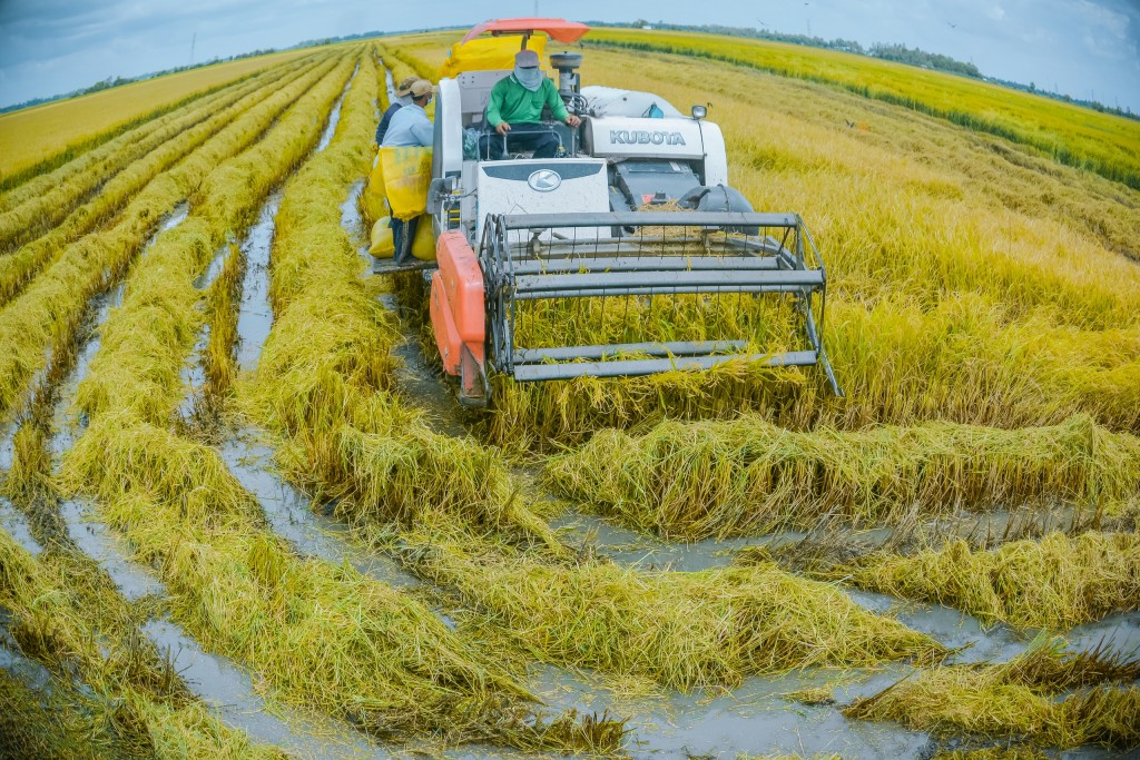 An Giang chuyển mình vì Nhân dân phục vụ