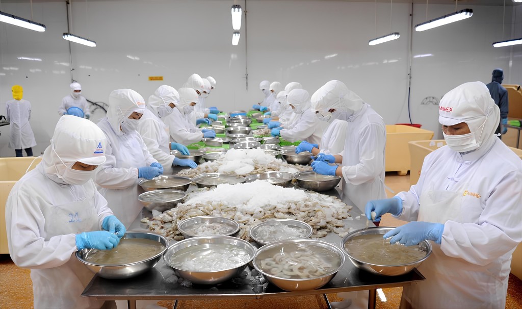 Lĩnh vực chế biến tôm được xem là một trong những điểm sáng 