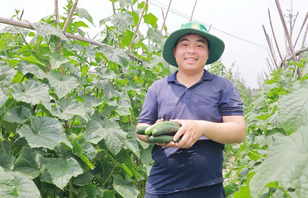 Hà Nội thúc đẩy nông nghiệp đa giá trị, hướng tới phát triển bền vững