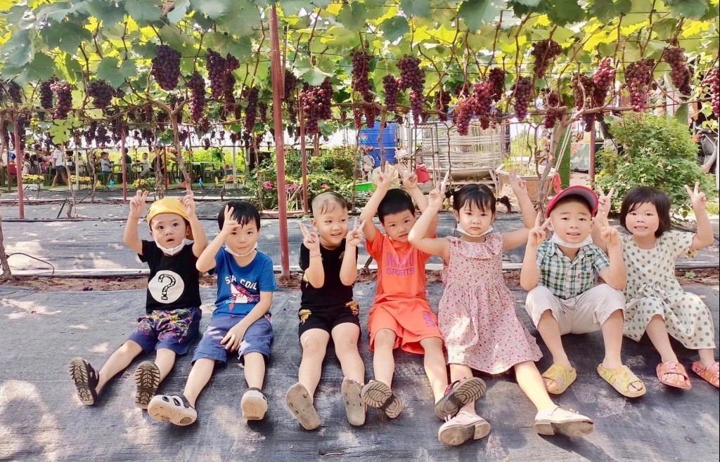 Nông nghiệp sinh thái: Kết nối đất đai, con người và thiên nhiên một cách bền vững