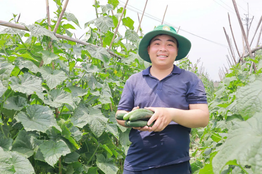 Hà Nội thúc đẩy nông nghiệp đa giá trị, hướng tới phát triển bền vững