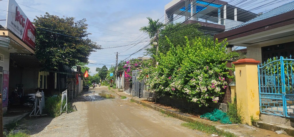 Đà Nẵng: Giá cát tăng cao, dự án phải tạm dừng thi công Đà Nẵng: Giá cát tăng cao, dự án phải tạm dừng thi công