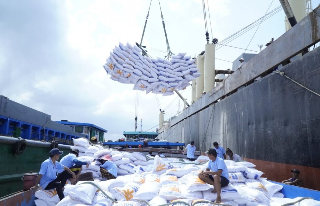 Tăng cường các giải pháp thúc đẩy sản xuất, xuất khẩu và ổn định thị trường gạo