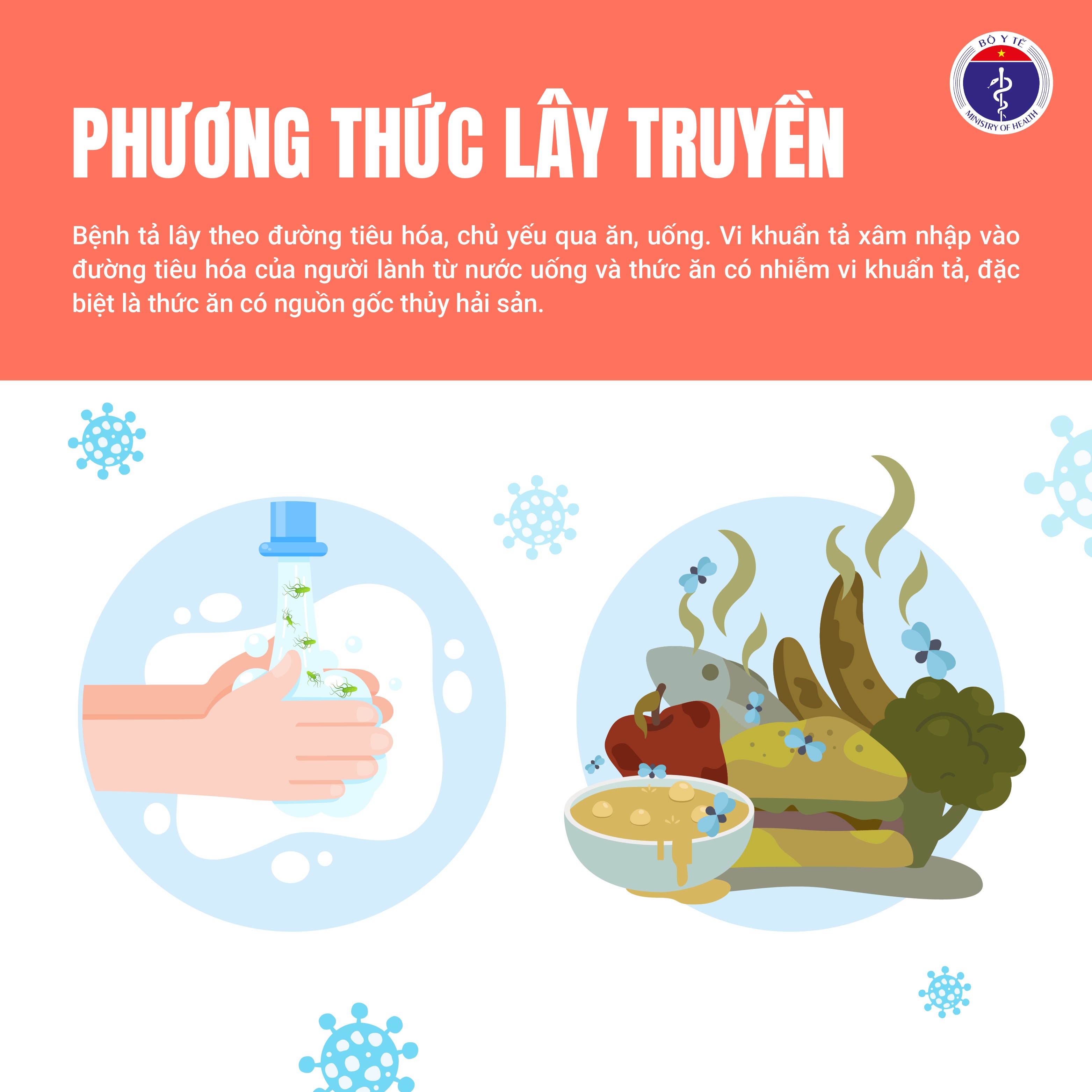 Bộ Y tế cảnh báo nguy cơ dịch tả xâm nhập Việt Nam