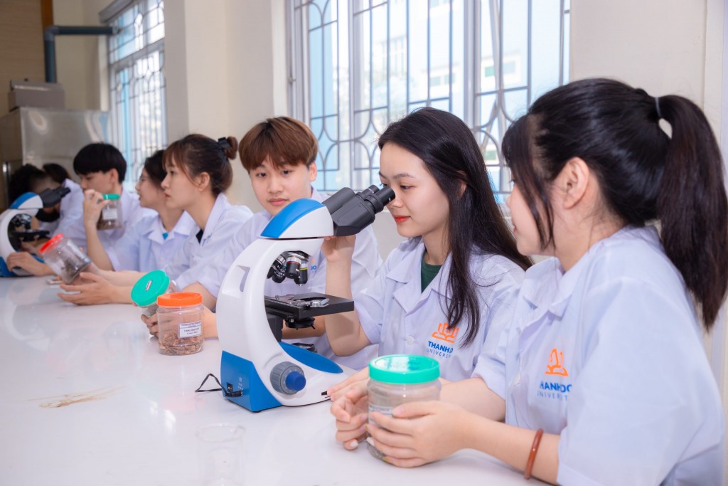 Bệ phóng đưa giáo dục Việt Nam vươn tầm trong kỷ nguyên mới