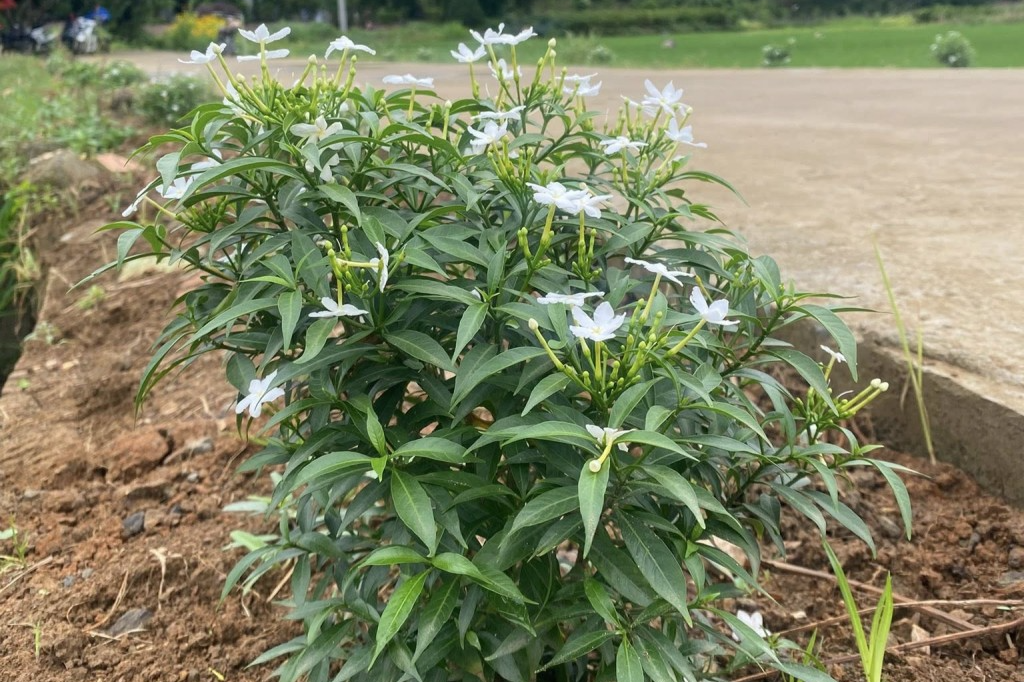 Đoàn Thanh niên - nòng cốt trong khối đại đoàn kết toàn dân Đoàn Thanh niên - nòng cốt trong khối đại đoàn kết toàn dân