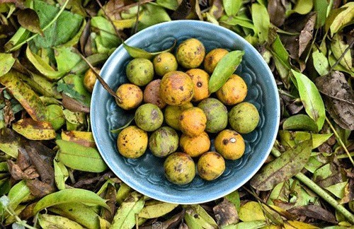 Nét thu Hà Nội... Nét thu Hà Nội...