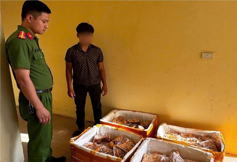 Lô trứng gà bốc mùi hôi thối không rõ nguồn gốc bị lực lượng chức năng thu giữ Lô trứng gà bốc mùi hôi thối không rõ nguồn gốc bị lực lượng chức năng thu giữ