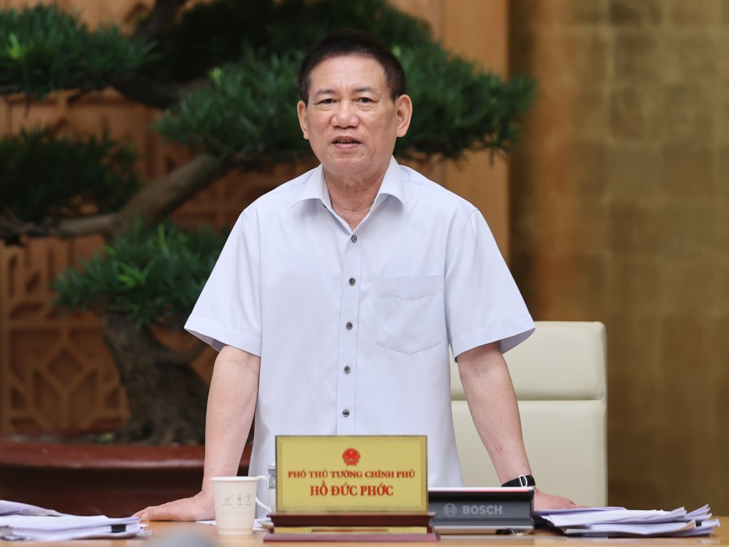Phó Thủ tướng Hồ Đức Phớc phát biểu - Ảnh: VGP/Nhật Bắc