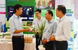 Hướng tới nền nông nghiệp xanh từ mô hình lúa chất lượng cao