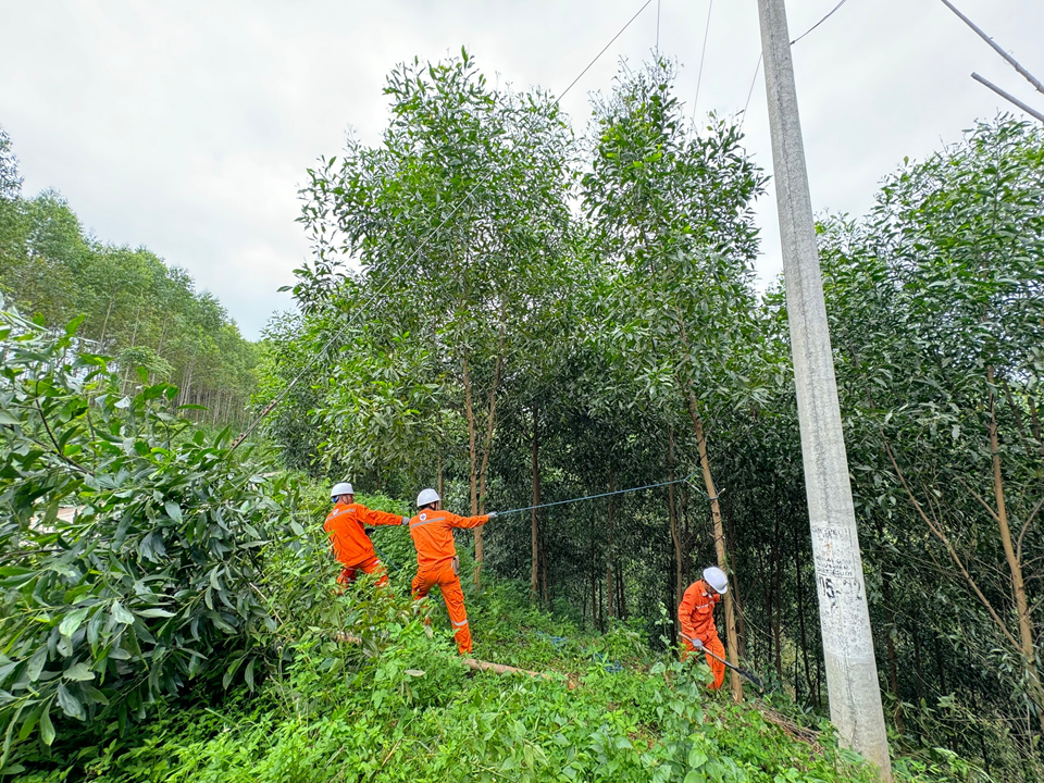 Đội Quản lý điện lực khu vực Văn Lãng (PC Lạng Sơn) phát tuyến, xử lý cây có nguy cơ ngã đổ vào đường dây điện Đội Quản lý điện lực khu vực Văn Lãng (PC Lạng Sơn) phát tuyến, xử lý cây có nguy cơ ngã đổ vào đường dây điện