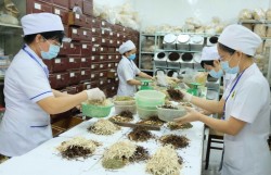 Đẩy mạnh phát triển nền y học cổ truyền Việt Nam trong giai đoạn mới