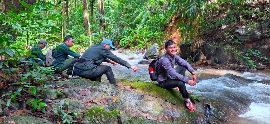 Phát huy hiệu quả trong công tác quản lý, bảo vệ rừng Phát huy hiệu quả trong công tác quản lý, bảo vệ rừng