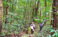 Xây dựng "lá chắn thép" để bảo vệ an toàn cho "lá phổi xanh"