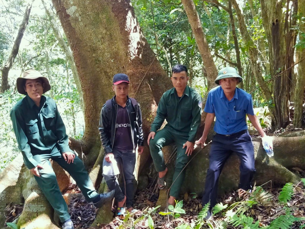 Phát huy hiệu quả trong công tác quản lý, bảo vệ rừng Phát huy hiệu quả trong công tác quản lý, bảo vệ rừng
