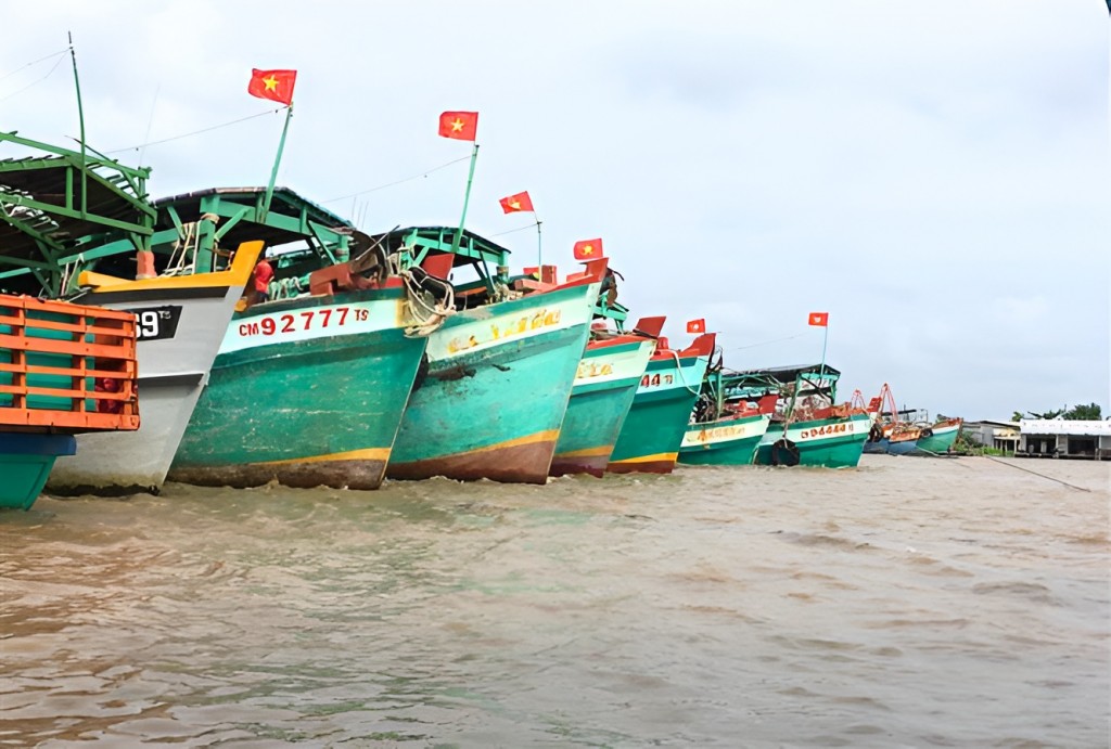 Cà Mau siết chặt quản lý đội tàu, tăng cường tuyên truyền, giám sát chống khai thác thủy sản IUU