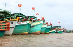 Cà Mau quyết liệt chống khai thác thủy sản bất hợp pháp