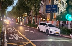 TP Hồ Chí Minh tiếp tục nghiên cứu triển khai vạch mắt võng