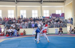 Gần 400 võ sinh dự giải taekwondo trẻ các câu lạc bộ Đà Nẵng