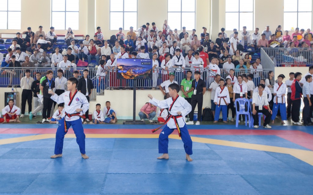 Các vận động viên tranh 44 bộ huy chương ở các nội dung quyền và đối kháng dành cho nam và nữ theo 3 nhóm tuổi (Ảnh Đ.Minh)