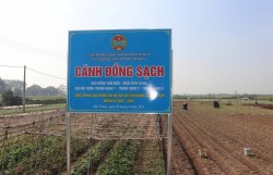 Thay đổi thói quen sản xuất nông nghiệp nhờ mô hình “Cánh đồng sạch”