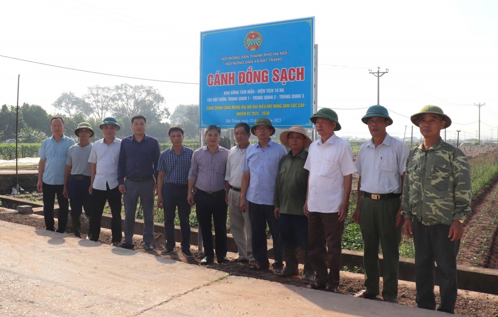 Thay đổi thói quen sản xuất nông nghiệp nhờ mô hình “Cánh đồng sạch”