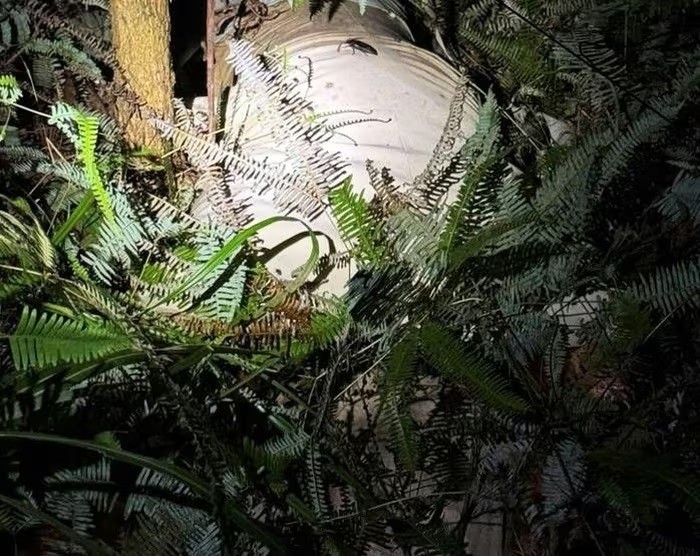 Hiện trường thi thể nạn nhân. Hiện trường thi thể nạn nhân.