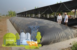 Hầm biogas - "Chìa khóa vàng" cho nông nghiệp sạch